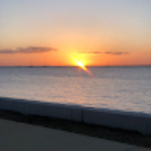 Meet your Posher, Cathy